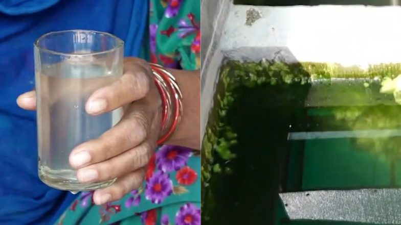 Haryana Election 2024: पहले ये गंदा पाना पीकर दिखाओ, फिर हमारा वोट लो! हरियाणा में गांव वालों ने रखी अनोखी शर्त