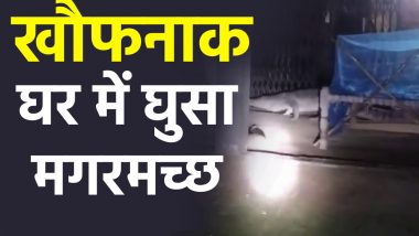 VIDEO: बहराइच के एक घर में घुसा विशाल मगरमच्छ, दहशत में लोग, खौफनाक वीडियो वायरल