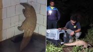 Pangolin Rescued Video: टॉयलेट में दिखा पैंगोलिन, पुणे के खडकवासला डैम के ऑफिस के सिक्योरिटी गार्ड की सुजबुझ से बची दुर्लभ जानवर की जान