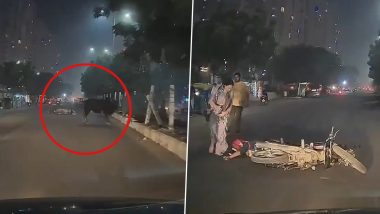 VIDEO: ग्रेटर नोएडा में तेज रफ़्तार हाईवे पर था बाइक सवार, अचानक बीच में आ गया सांड, देखिये फिर आगे क्या हुआ