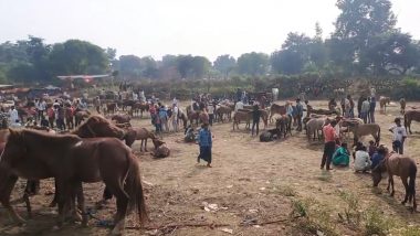 Chitrakoot Donkey Fair: चित्रकूट में लगा 500 साल पुराना गधों का मेला, औरंगजेब ने की थी इसकी शुरुवात, देखें वीडियो