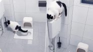 Cat Using Toilet: इंसानों की तरह टॉयलेट का इस्तेमाल करती है यह बिल्ली, इसकी स्मार्टनेस देख रह जाएंगे दंग