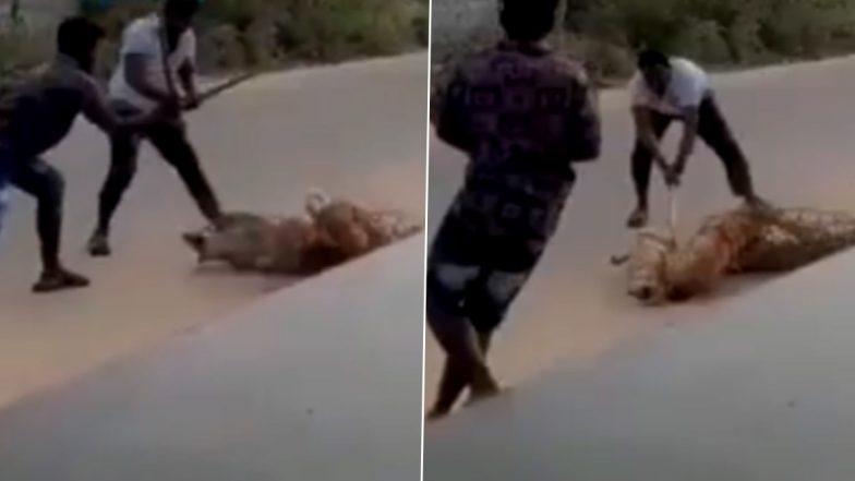 Hyderabad Horror: जवाहर नगर में दिनदहाड़े 3 लोगों ने आवारा कुत्तों को पीट-पीटकर मार डाला, विचलित करने वाला वीडियो वायरल