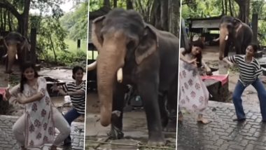 Baby Elephant Dancing With Two Girls: दो लड़कियों के साथ बेबी एलीफैंट ने किया डांस, क्यूट वीडियो हुआ वायरल