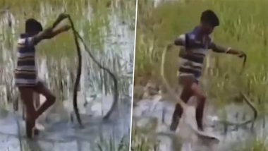 Boy Spins Two Snakes: लड़के ने नंगे हाथों से दो सांपों को घुमाया, वायरल वीडियो देख भड़के नेटीजेंस