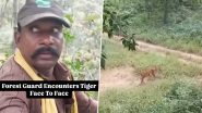 Forest Guards' Close Encounter With Tiger: मध्य प्रदेश में वन रक्षकों की बाघ से हुआ आमना-सामना, देखें दिल दहला देनेवाला वीडियो