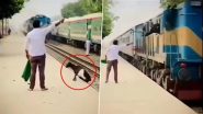 Viral Video: तेज रफ्तार ट्रेन की चपेट मे आकर बकरी की हुई दर्दनाक मौत, शख्स चाहता तो बच सकती थी बेजुबान की जान