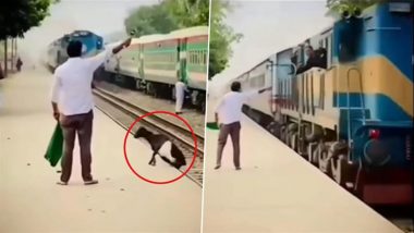 Viral Video: तेज रफ्तार ट्रेन की चपेट में आकर बकरी की हुई दर्दनाक मौत, शख्स चाहता तो बच सकती थी बेजुबान की जान