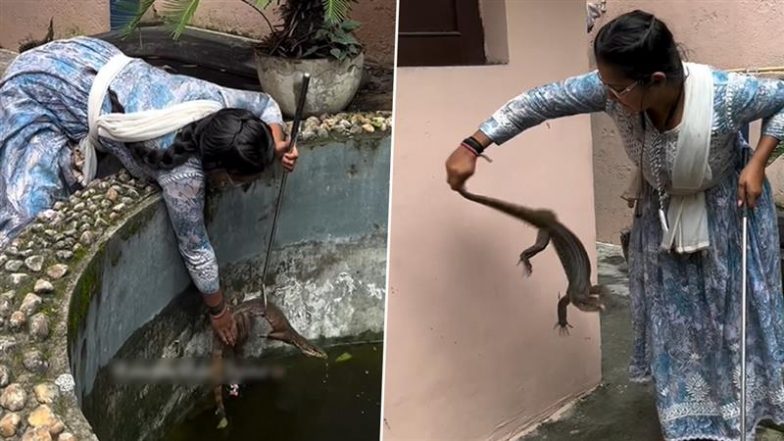पानी में गिरी मॉनिटर छिपकली को महिला ने किया रेस्क्यू, Viral Video में देखें कैसे जीव ने उछलकर उसी पर कर दिया अटैक