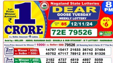 Lottery Sambad 8 PM Result (12 November): नागालैंड ''Dear Goose Tuesday'' विकली लॉटरी रिजल्ट जारी, पहला इनाम 1 करोड़ रुपये; देखें विनर लिस्ट