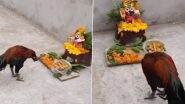 Hen Bows Down In Front Of Lord Idol: भगवान जगन्नाथ की मूर्ति के सामने मुर्गी ने झुकाया सिर, वीडियो देख लोग हैरान