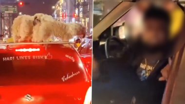 Man Driving With 3 Dogs On Car Roof: कार की छत पर 3 कुत्तों के साथ गाड़ी चलाने के आरोप में बेंगलुरु का शख्स गिरफ्तार, आपत्ति जताने पर दी गालियां- Video