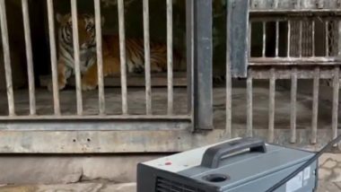 Heaters Installed At Katraj Zoo: पुणे के कटराज चिड़ियाघर में जानवरों को सर्दी से बचाने के लिए हीटर लगाए गए, देखें वीडियो