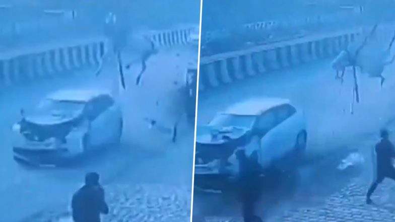Baghpat Accident: कार ने घोड़े को मारी टक्कर, जिससे घोड़ा 7 फुट ऊपर उड़कर गिरा, हुई मौत- (देखें वीडियो)