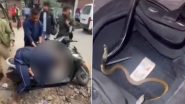 Cobra Hides Inside Helmet: हेलमेट के अंदर छिपकर बैठा था कोबरा, बाइक सवार के सिर पर काटा- देखें वीडियो