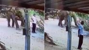 Elephant Politely Signals Man to Move Aside: हाथी ने रास्ते में खड़े व्यक्ति को नुकसान पहुंचाने की बजाय हट जाने का इशारा किया, देखें वायरल वीडियो