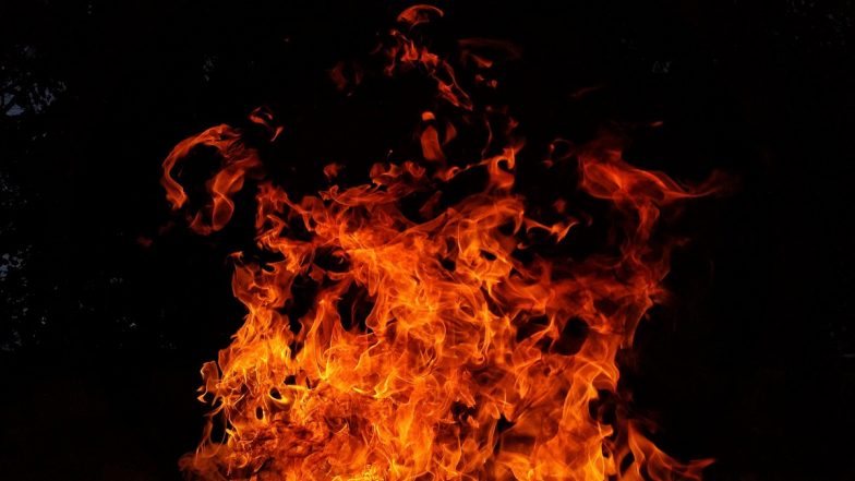 Solapur MIDC Fire Incident: सोलापुर के टॉवेल फैक्ट्री में लगी भीषण आग, मालिक समेत 8 लोगों की दर्दनाक मौत; फायर ब्रिगेड ने आग पर पाया काबू