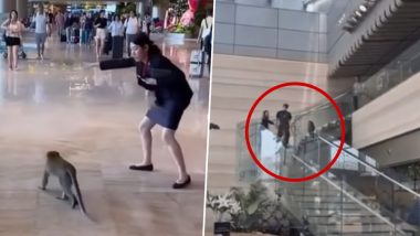 Monkey Enters Singapore Airport: ‘गुम हुए केले’ की तलाश में सिंगापुर एयरपोर्ट में घुसा बंदर, देखें आगे क्या हुआ