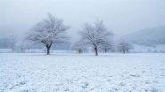 Odisha Snowfall Videos: सुंदरगढ़ और मयूरभंज में दुर्लभ बर्फ़बारी से बढ़ी कड़ाके की ठंड, देखें हिमपात का वीडियो