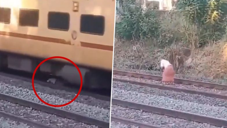 Viral Video: केरल में तेज रफ्तार रेलगाड़ी से बचने के लिए पटरी पर लेट गया व्यक्ति, बाल- बाल बचा (देखें वीडियो)