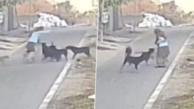 Dog Attack Video: आगरा में सैर पर निकली बुजुर्ग महिला पर कुत्तों के झुंड ने किया हमला, पैर पकड़कर खींचा, भयावह वीडियो आया सामने