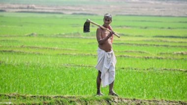 Kisan Credit Card: किसान क्रेडिट कार्ड पर कितना मिलता है कर्ज और कैसे करें आवेदन क्या डाक्यूमेंट्स हैं जरूरी, यहां जानें सब कुछ