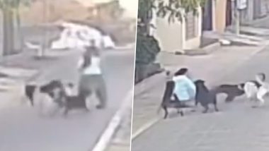 Pack of Dogs Attacked Elderly Woman: जालंधर के वडाला चौक के पास गुरुद्वारे जा रही बुजुर्ग महिला पर आवारा कुत्तों ने किया हमला, खौफनाक वीडियो वायरल