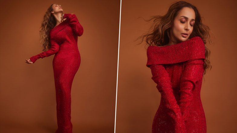 Malaika Arora ने 2024 को बताया कठिन वर्ष, साझा किए भावुक अनुभव