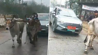 Rajasthan: डीडवाना में अनिल सिंह मेड़तिया की इलेक्ट्रिक कार रास्ते में हुई बंद, उसे खींचने के लिए बैलों का हुआ इस्तेमाल- (देखें वीडियो)