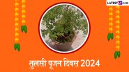 Tulsi Pujan Diwas 2024: तुलसी पूजन दिवस पर तुलसी माता की पूजा करने से घर में होता है सुख-समृद्धि का वास, जानें शुभ मुहूर्त, पूजा विधि और महत्व