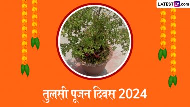 Tulsi Pujan Diwas 2024: तुलसी पूजन दिवस पर तुलसी माता की पूजा करने से घर में होता है सुख-समृद्धि का वास, जानें शुभ मुहूर्त, पूजा विधि और महत्व