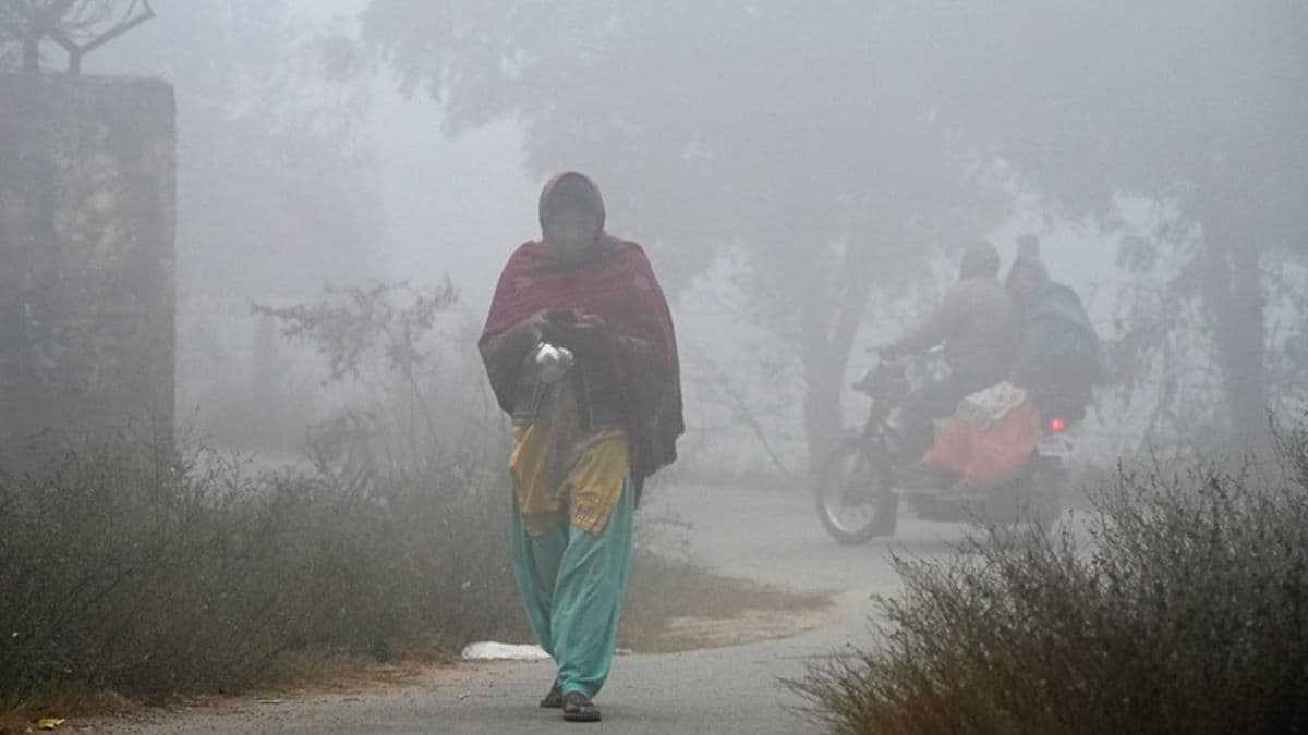 Weather Forecast: ठंड ने पकड़ी रफ्तार! दिल्ली सहित पूरे उत्तर भारत में शीतलहर बढ़ाएगी कंपकंपी; जानें मौसम का हाल