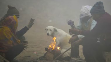 कश्मीर से लेकर दिल्ली तक, अब पड़ेगी हाड़ कंपाने वाली ठंड... IMD ने जारी किया बारिश और शीतलहर का अलर्ट