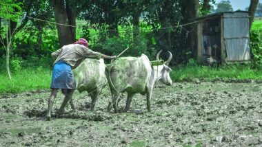 PM Kisan 19th Instalment Date: कब जारी होगी प्रधानमंत्री किसान सम्मान निधि योजना की 19वीं किस्त? जानिए लाभार्थी बनने की पूरी प्रक्रिया