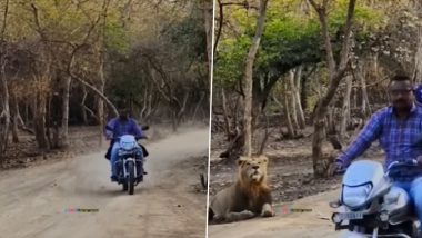 ‘शेर हूं भाई, थोड़ी तो इज्जत कर लो...’ जंगल के राजा के सामने से बेखौफ होकर निकला बाइक सवार, देखता रह गया जानवर (Watch Video)