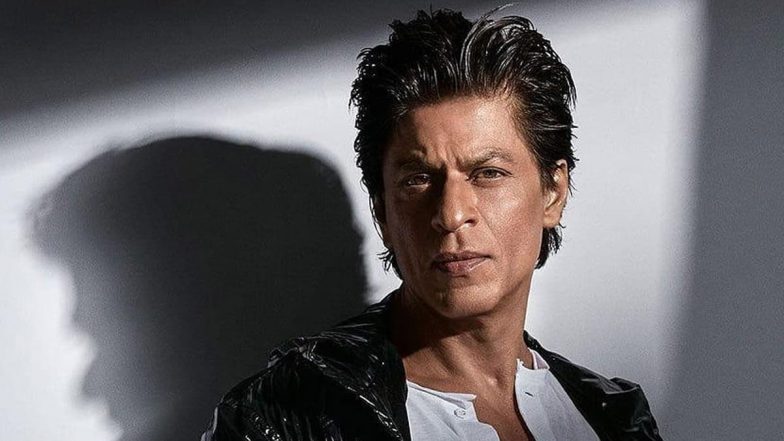 King Update: शाहरुख खान जल्द शुरु करेंगे सिद्धार्थ आनंद की एक्शन फिल्म 'किंग' की शूटिंग, IIFA 2025 प्रेस कॉन्फ्रेंस में किया खुलासा (Watch Video)