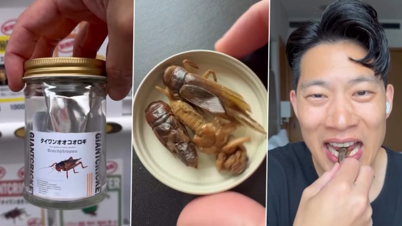 Chinese Man Eating Crickets Video: चीनी शख्स ने चिप्स की तरह खाए क्रिस्पी झींगुर, कीड़े खाते देख नेटिज़न्स हैरान