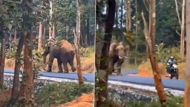 Narrow Escape From Wild Elephant: जंगली हाथी के हमले से बाल-बाल बचे परिवार के तीन लोग, देखें वीडियो