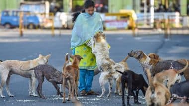 परिसर में आवारा कुत्तों को खाना खिलाने वाले निवासी को सेवाएं देने से हाउस हेल्प को नहीं रोक सकती सोसायटी - बॉम्बे हाईकोर्ट