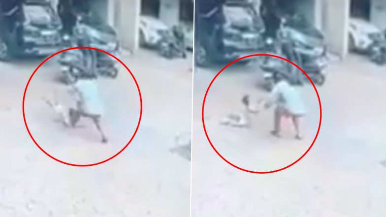 VIDEO: तीसरे फ्लोर से छोटा बच्चा गिरा, नीचे खड़े शख्स ने दौड़कर बचाई बच्चे की जान, डोंबिवली की घटना से सोसाइटी में मची अफरा तफरी (Watch Video )