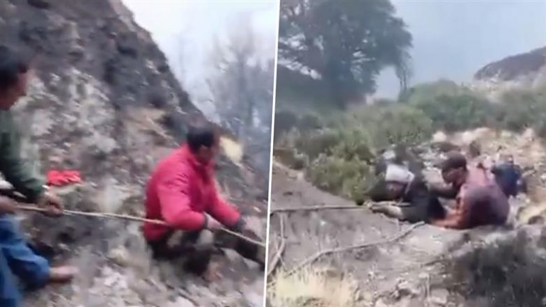 Uttarakhand: रुद्रप्रयाग के चोपता में ट्रैकिंग करने गए थे 3 पर्यटक, जंगल की आग में बुरी तरह फंसे; रेस्क्यू टीम ने कड़ी मशक्कत के बाद बचाया (Watch Video)