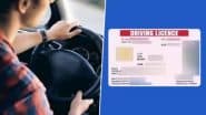 International Driving Licence: पुणे में इंटरनेशनल ड्राइविंग लाइसेंस निकालनेवालों की तादाद बढ़ी, पिछले 3 वर्षो में 14 हजार 774 लोगों ने लिया लाइसेंस