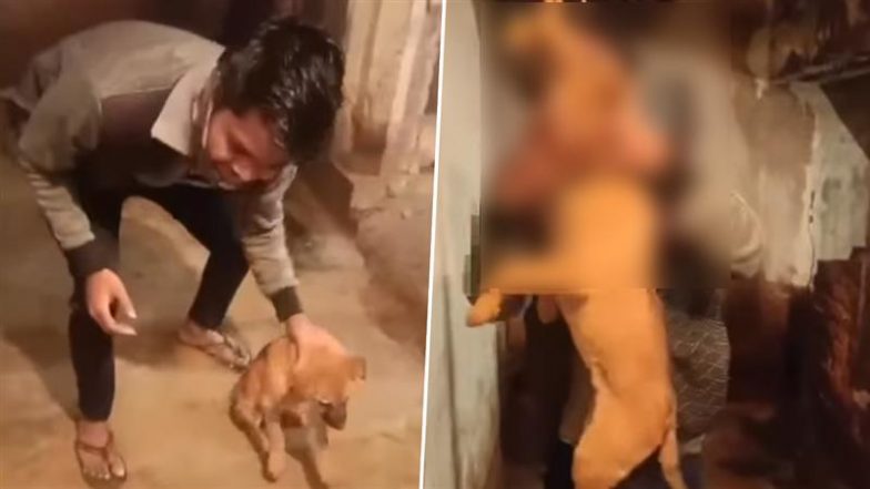Viral Video: शख्स ने रील के लिए कुत्ते को फंदे से लटकाने की कोशिश की, वीडियो देख सोशल मीडिया पर आक्रोश