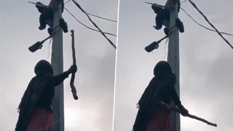 VIDEO: कनेक्शन काटने के लिए खंभे पर चढ़ा लाइनमैन, डंडा लेकर नीचे खड़ी हो गई महिला; यूपी के संभल की घटना