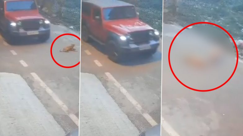 Bengaluru Horror: एसयूवी से कुचले जाने से आवारा कुत्ते की मौत, वीडियो वायरल होने पर मामला दर्ज