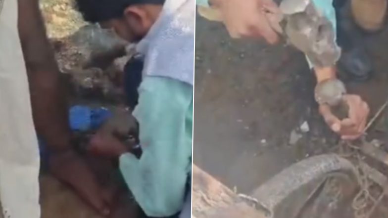 VIDEO: 7 सालों से बेड़ियों में जकड़ा रहा व्यक्ति, एनजीओ ने कराया मुक्त, परिजनों ने किया हंगामा, इंदौर में शख्स को मिली आजादी (Watch Video)