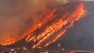 Los Angeles Wildfires: लॉस एंजिल्‍स के जंगलों में फिर लगी आग, कुछ ही घंटों में 39 वर्ग किमी जंगल जलकर राख; 50 हजार लोगों को सुरक्षित स्‍थान पर जाने का आदेश (Watch Video)