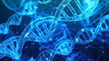 DNA रिपेयर से पता चलेगा रेडियोथेरेपी के बाद कैसे मरती हैं कैंसर कोशिकाएं