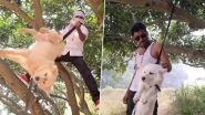 Animal Cruelty Video: रील के लिए शख्स ने कुत्ते के साथ की दरिंदगी, मारे लात-घूंसे और पेड़ से लटकाया, जानवर को प्रताड़ित करने का वीडियो वायरल