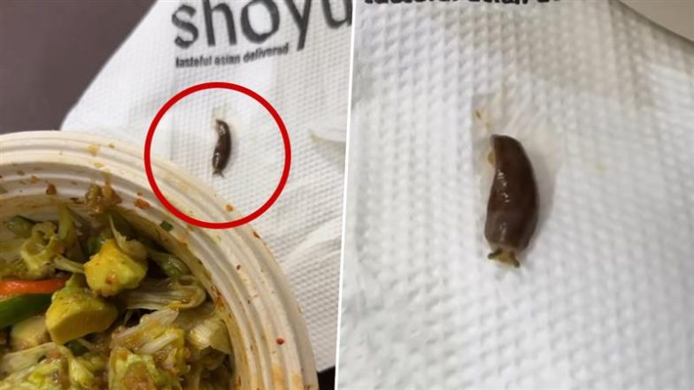 Live Snail Found in Food: हैदराबाद की महिला द्वारा शोयू रेस्टोरेंट से ऑर्डर किये एवोकैडो क्विनोआ सलाद में मिला जिंदा घोंघा, वीडियो वायरल